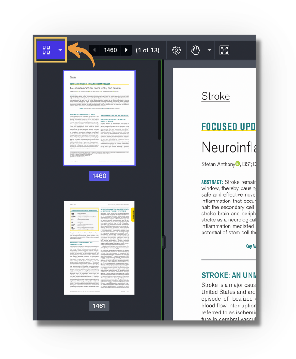 Screenshot of the enhanced reader with the thumbnail icon highlighted (top left) and the thumbnail sidebar open, showing numbered thumbnails of the article's pages (1460, 1461) next to the full-size page.