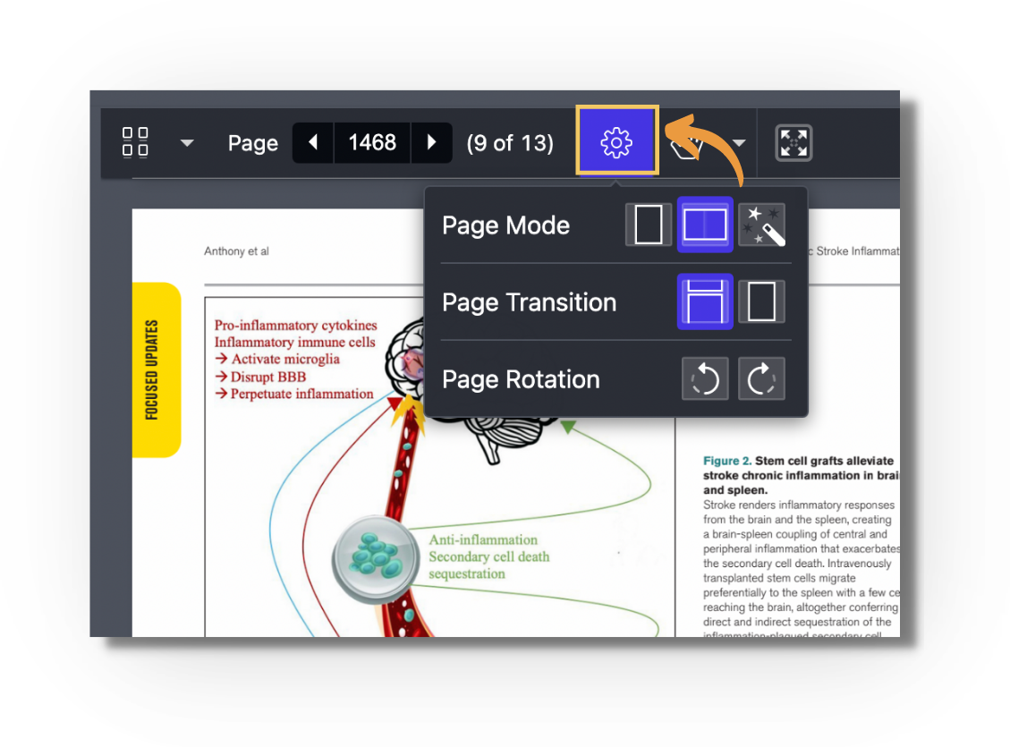 Screenshot of the enhanced reader with the settings gear icon highlighted and its menu open, showing 'Page Mode' (single page, side-by-side, or auto), 'Page Transition' (scroll or page-flip), and 'Page Rotation' (rotate left or right) options.