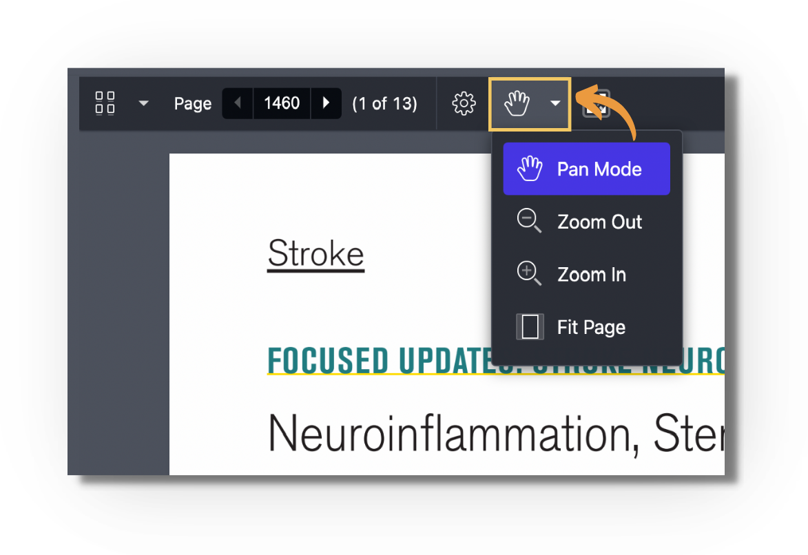 Screenshot of the enhanced reader with the hand icon highlighted and its dropdown open, offering 'Pan Mode' (selected), 'Zoom Out', 'Zoom In', and 'Fit Page'.