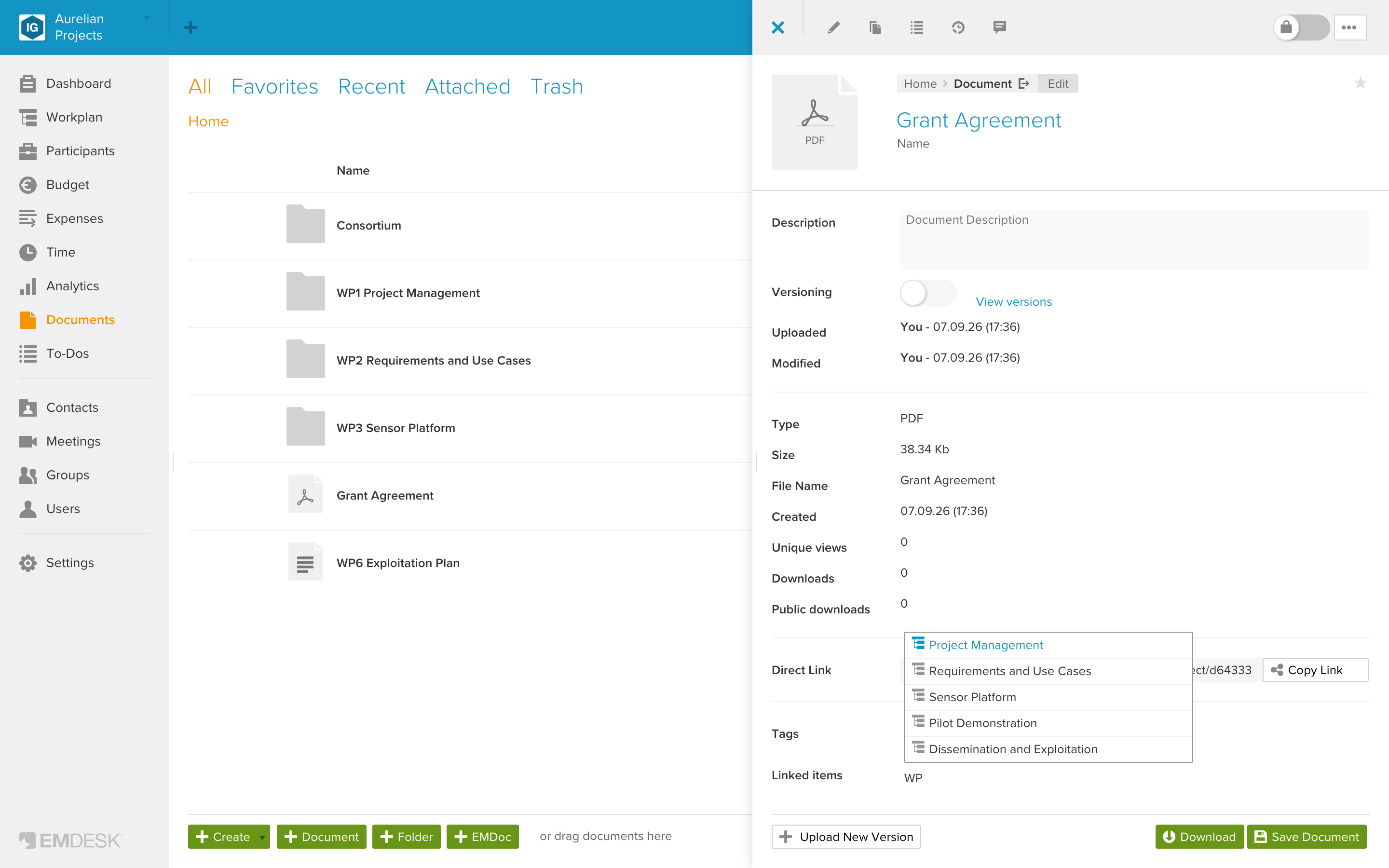 Link items to documents or EMDocs