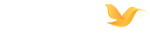 InSurvey
