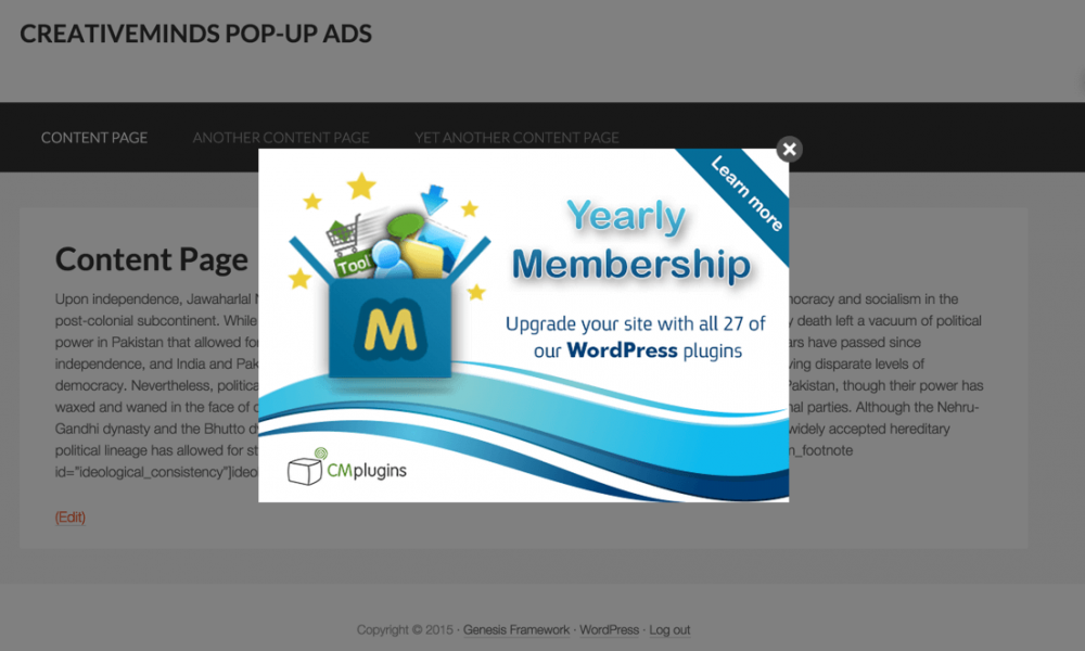 Example of a popup - Lead Generation Plugin