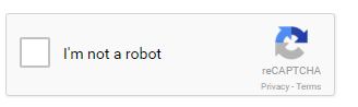 Example of reCaptcha - WordPress Custom Login