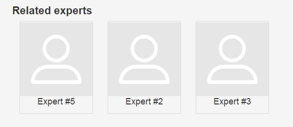 Related experts on the front-end - WordPress Plugin for Member Directory