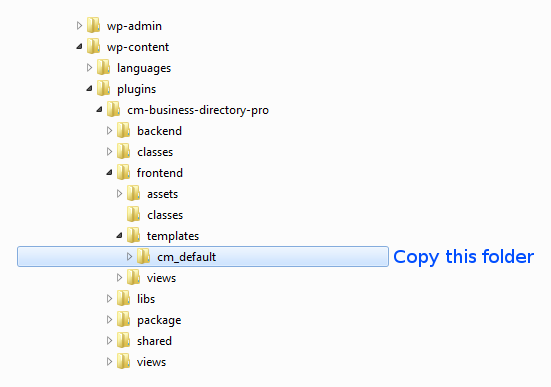 Path to WordPress business directory theme files