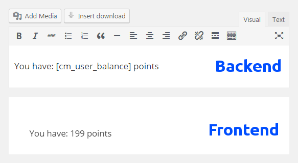 Displaying the wallet balance - WordPress User Wallet Credit System