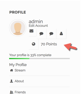 Displaying the amount of points in the PeepSo user profile - WordPress User Wallet Credit System