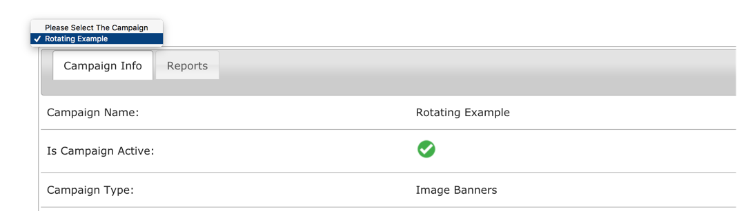 Selecting the campaign - WordPress Ad Management Plugin