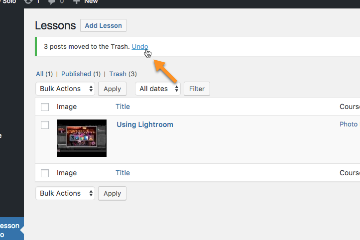 Cancelling the deletion of lessons - WordPress Video Course Plugin
