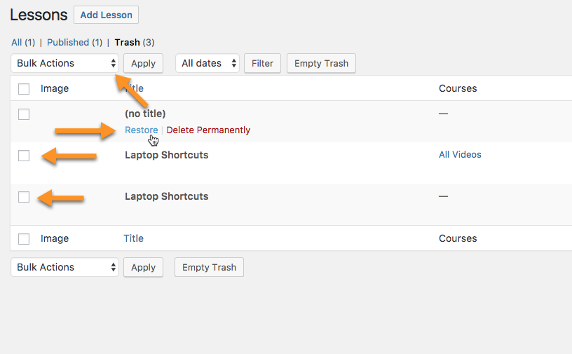 Restoring deleted lessons - WordPress LMS Plugin