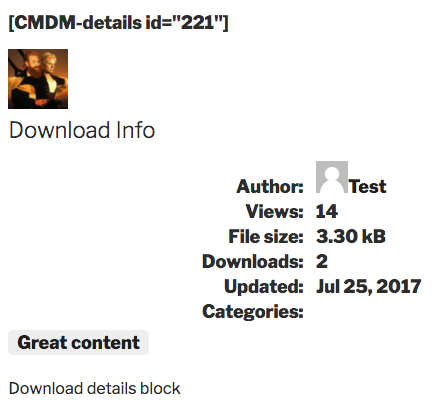 Displaying a download details block - File Manager WordPress