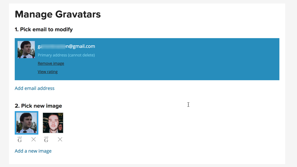 Choosing the gravatar from the list - Discussion Forum Plugin for WordPress