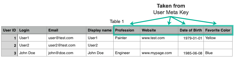 Example of exported CSV file - WordPress Custom Login