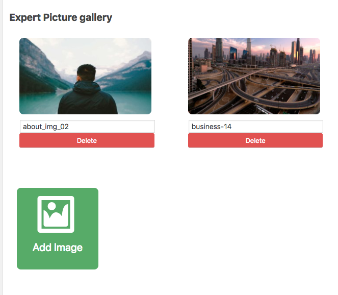 Adding picture gallery - WordPress Employee Directory