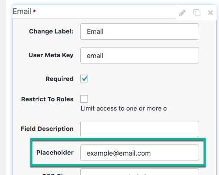 Placeholder example - WordPress Custom Login