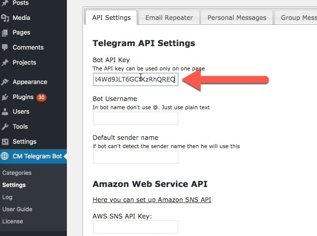 Connecting a telegram bot with the plugin - Telegram Bot Plugin for WordPress