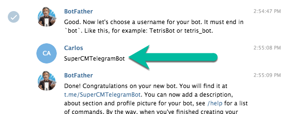 Example of the bot username - WordPress Telegram Plugin