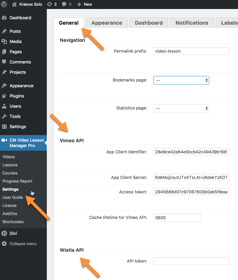 General plugin settings / API settings - Online Course WordPress Plugin