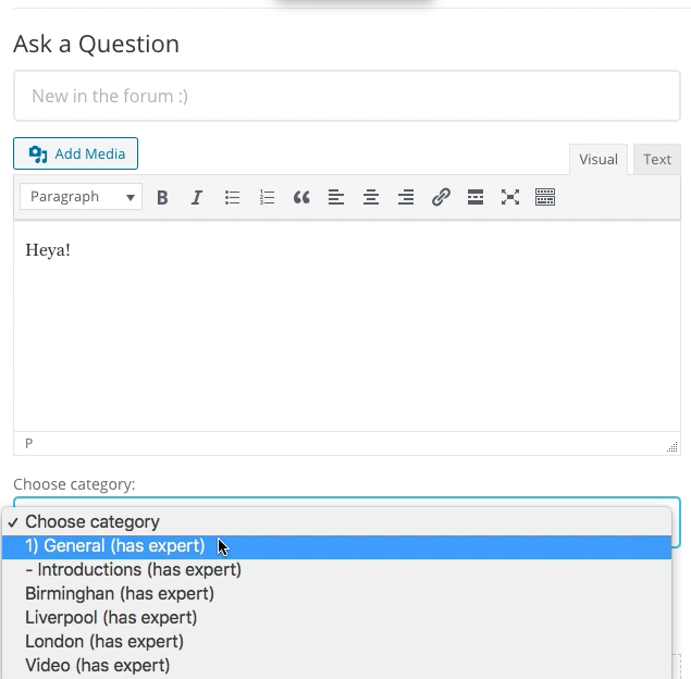 Asking a question that can be seen only by forum experts - WordPress Forum Plugin