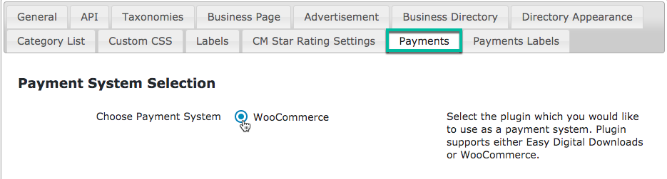 Choosing payment provider - WordPress Listing Plugin