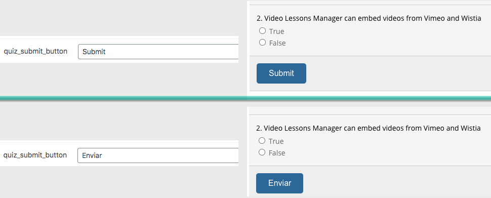 Example of changing labels - WordPress LMS Plugin