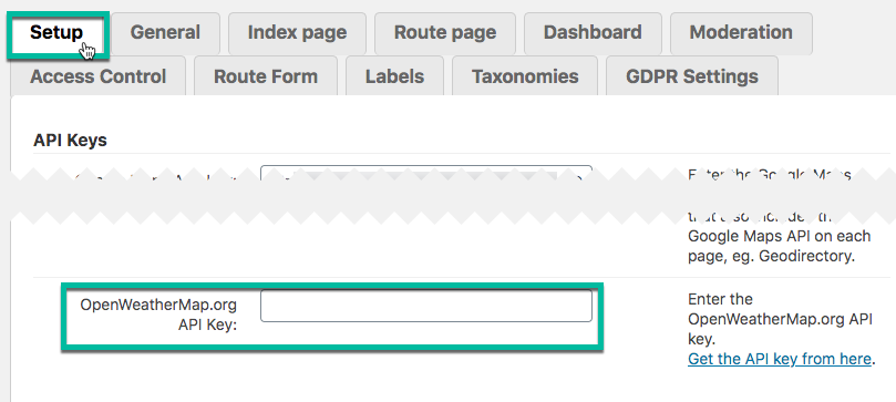 Field for adding API key - WordPress Plugins For Travel Blogs