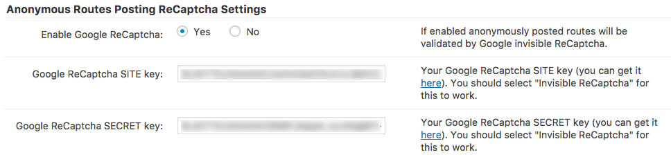 Adding Google reCaptcha API keys - WordPress + Map Show Route Between Markers