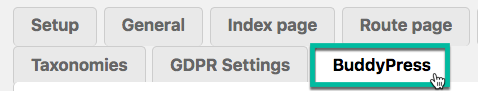 BuddyPress integration settings - Route Display Plugin