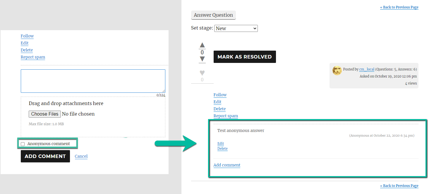 Process of posting an anonymous comment on the forum - Discussion Forum Plugin for WordPress