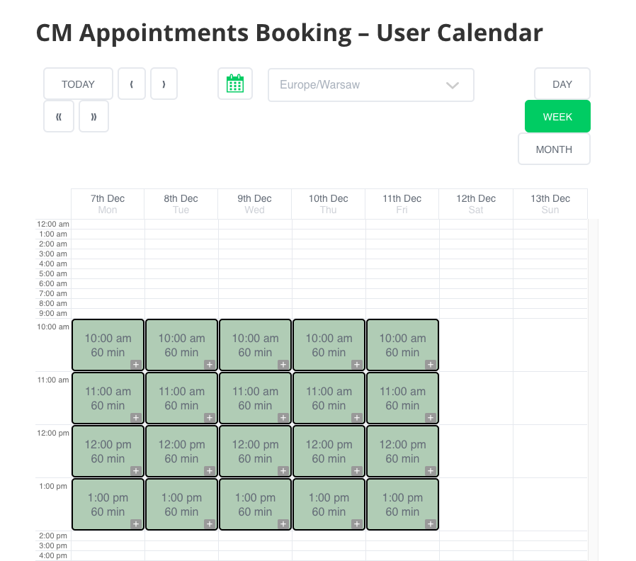 Example of the calendar on the front-end - WordPress Scheduling Plugin