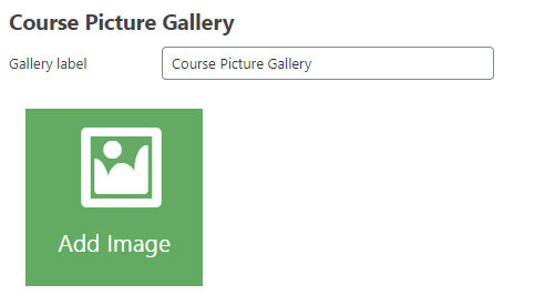 Adding pictures to the course gallery - WordPress Plugin for Online Courses