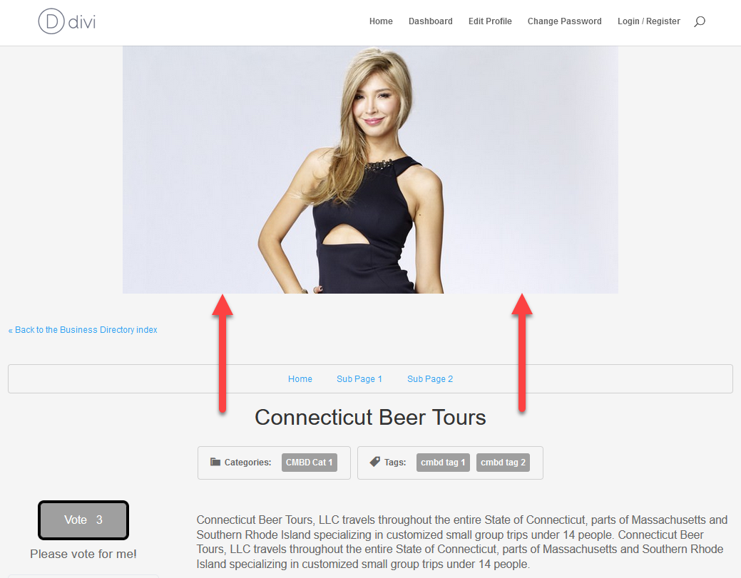 Displaying banner on the business page - WordPress Local Business Directory
