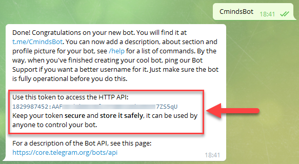 Copying the API key - WordPress Telegram Plugin