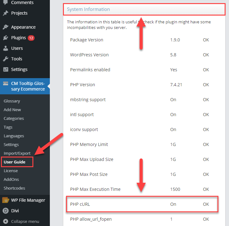 Checking system information - Knowledge Base WordPress Plugin