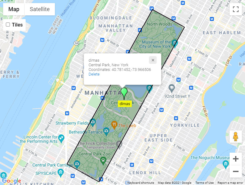 Temporary polygon - Maps Plugin