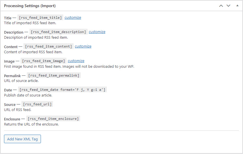 Processing settings for import - WordPress RSS Multi Importer Plugin