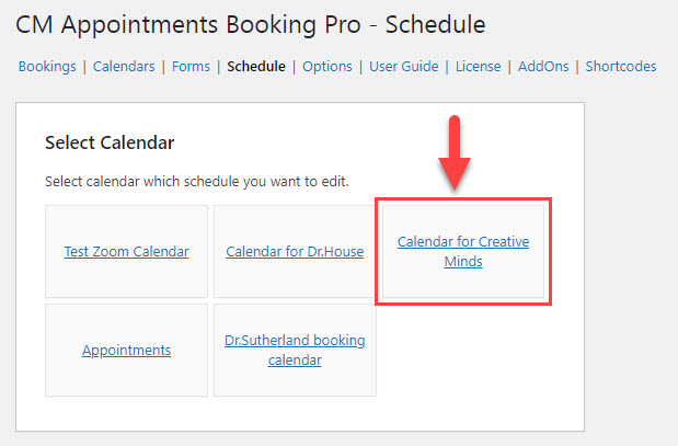 Choosing the calendar to edit its schedule - WordPress Plugin for Scheduling Consultations