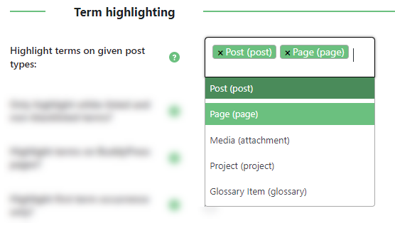 Parsing terms on chosen post types - Tooltip WordPress Plugin