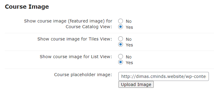 Course image settings - WordPress Plugin for Online Courses