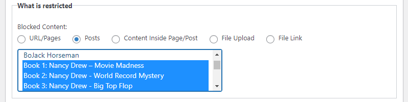 Specifying the restricted content - Portal WordPress Plugin Private Content Per User