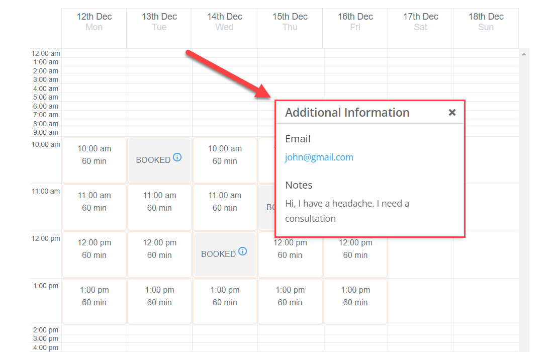 Example of the tooltip with info about the booked slot - WordPress Calendar Booking Plugin