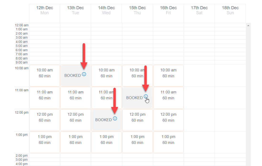 Result on the front-end - Appointment Scheduling Plugin WordPress