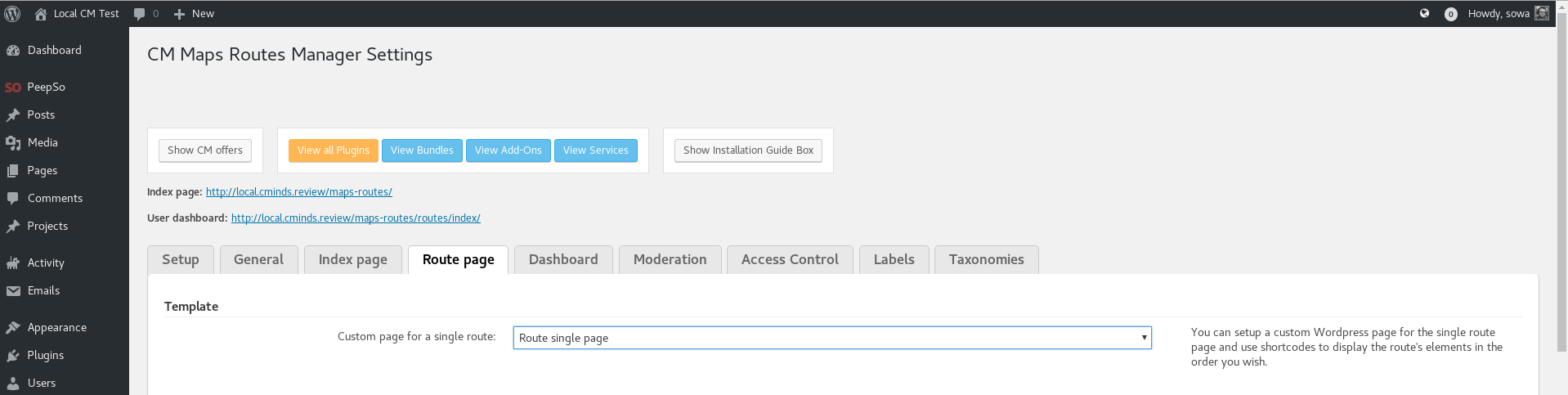 Choosing the page as a template - Route Display WordPress