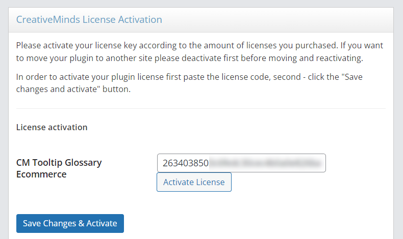 Insterting the license key - WordPress Internal Linking Plugin