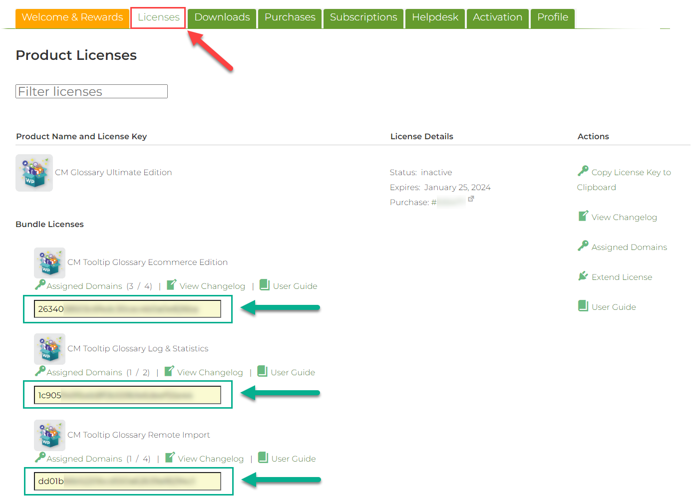 Page with license keys - Tooltip Plugin WordPress