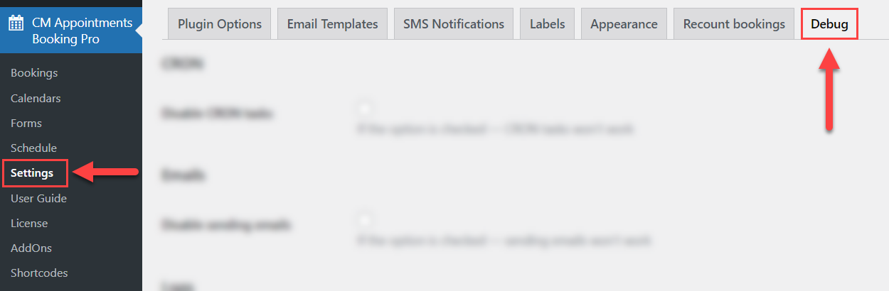 Debug tab - Appointment Scheduling Plugin WordPress