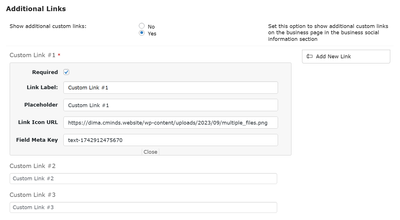 Example of created custom links - WordPress Listing Plugin