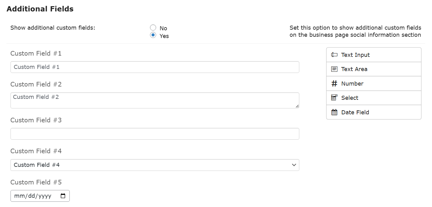 Example of created custom fields - Business Directory WordPress