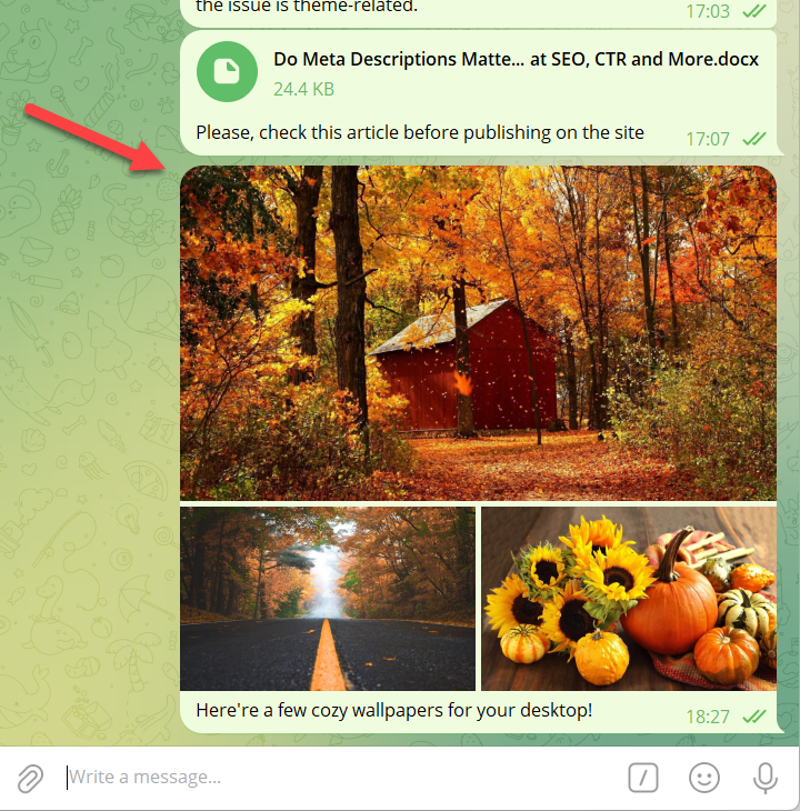 Posting files to the Telegram group - Telegram Plugin for WordPress