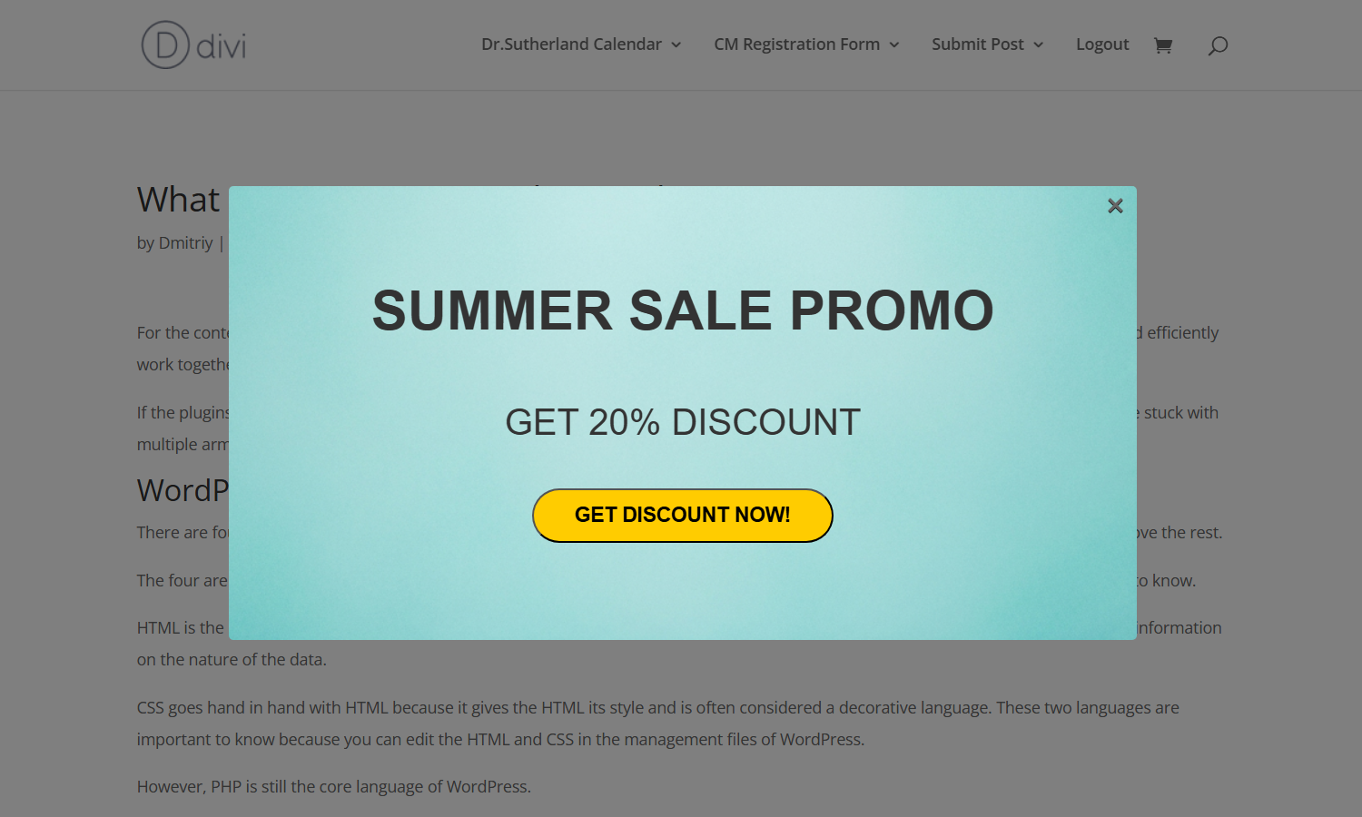 Front-end result - Lead Generation Plugin